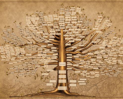 Infografica Albero Genealogico