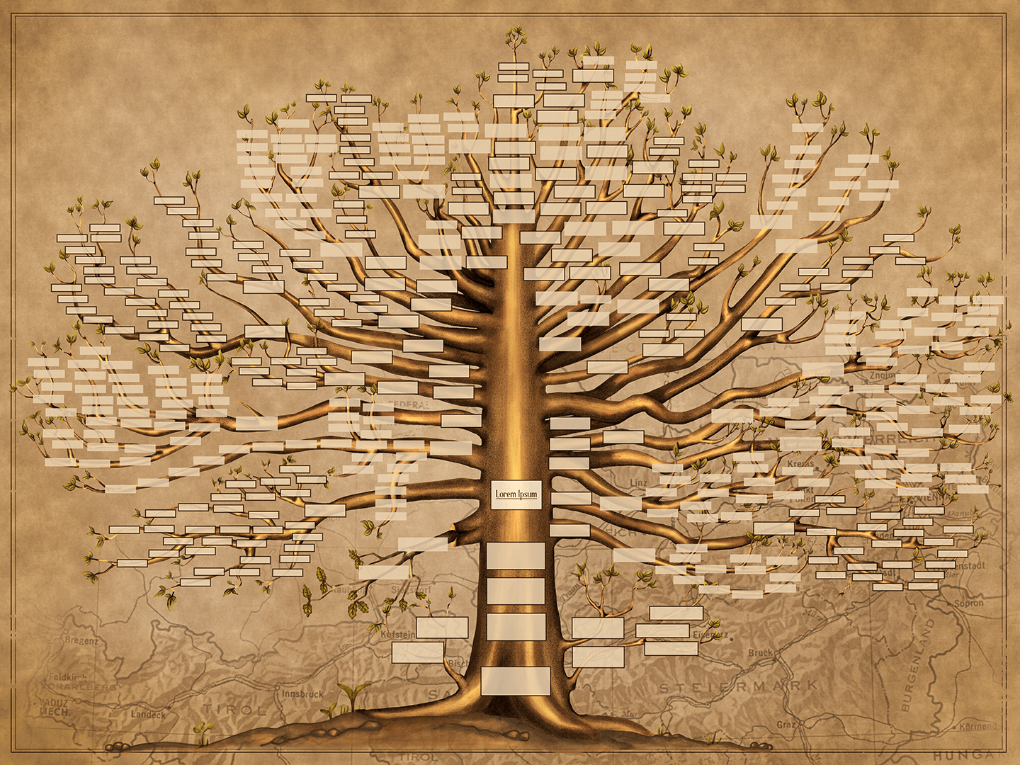 Infografica Albero Genealogico